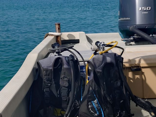 �D�ɂ�_�}�����T�[�r�X�A�|�����Ί_��