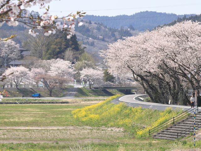 Ƃ񂳂̓̉w ͂ȂV̂̋̓eʐ^1