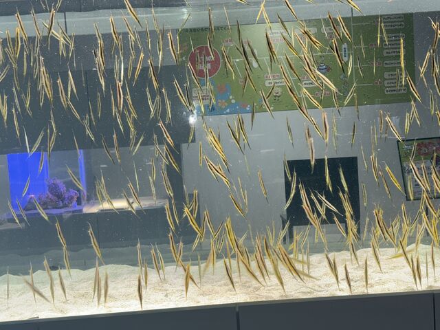 ���O��������Ȃ��ł�_AOAO SAPPORO