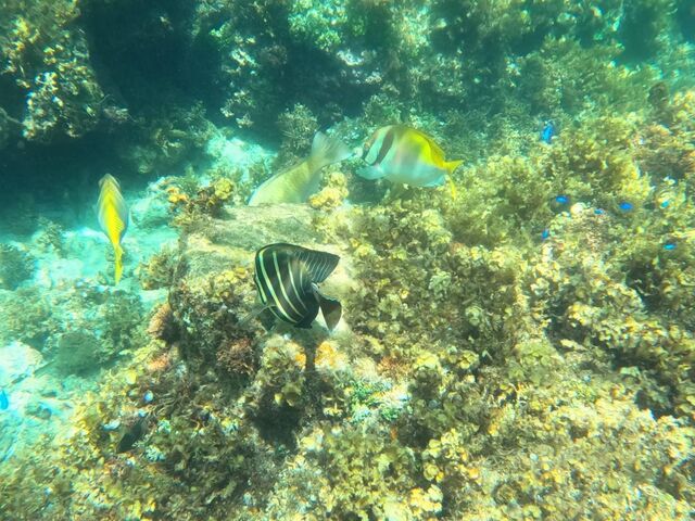 iNLOVE̗L ǎRO[v̓eʐ^2