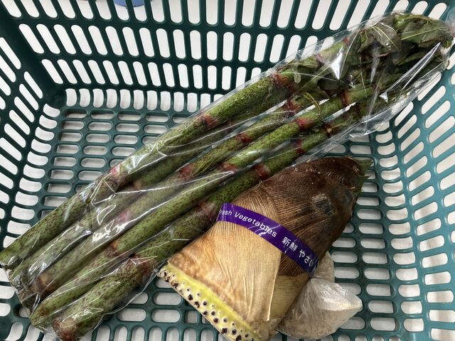 �{�̃^�P�m�R�ƃC�^�h��_���̉w ����R�O���[���p�[�N