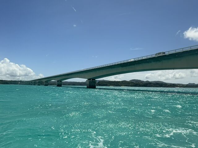 �L���ȂƂ��납���i�X�|�b�g�܂Ō����Ă��炢�܂���_�}�����V���b�vKID