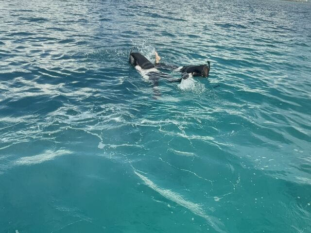 �j���Ȃ��F�B���߂��Ⴍ����y����ł܂���(��)_�}�����V���b�vKID