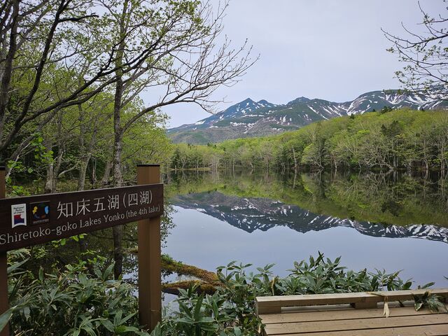 ���������Ȃ���ՓI�ȂP��_�m���I�v�V���i���c�A�[�YSOT!