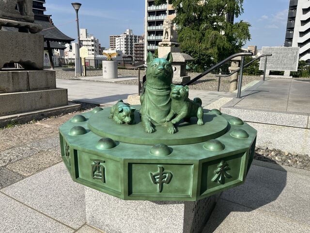 �����R���o�}��_���c�{