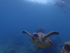 ��������񂳂�̉��v�����R�ē��ւ̓��e�ʐ^1