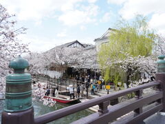 �肦����̖���ό��J��(��)�u������D��v�ւ̓��e�ʐ^1