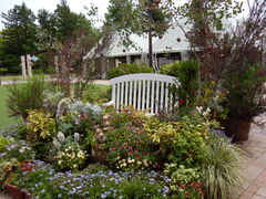 񂳂̋vʒ뉀tGւ̓eʐ^4