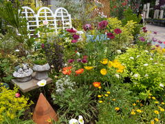 񂳂̋vʒ뉀tGւ̓eʐ^5