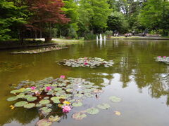 񂳂̋vʒ뉀tGւ̓eʐ^6