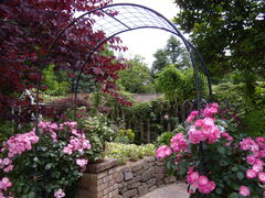 񂳂̋vʒ뉀tGւ̓eʐ^8