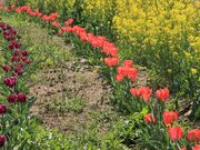 Ƃ񂳂̓̉w ͂ȂV̂̋̓eʐ^2