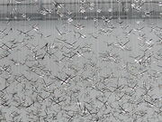 񂳂̉zȗLRp MonET̓eʐ^2