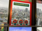 harusu����̒ʓV�t�̓��e�ʐ^3