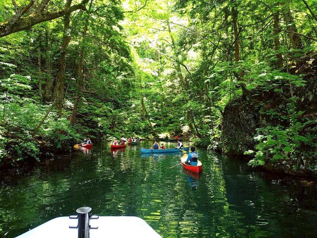 �鋫�T���{�[�g_����A�E�g�h�A�Z���^�[(�X)