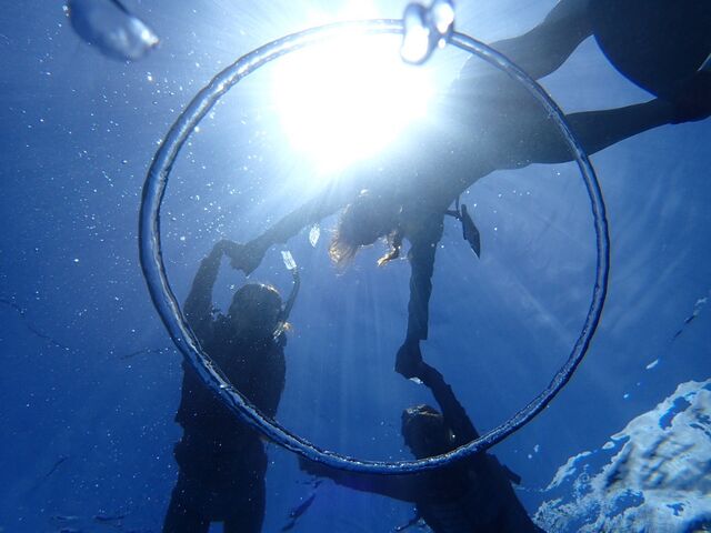 �o�u�������O_�A�N�A�u���[