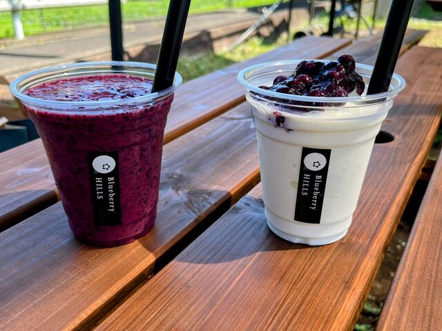 �S���������������I_Blueberry HILLS ����