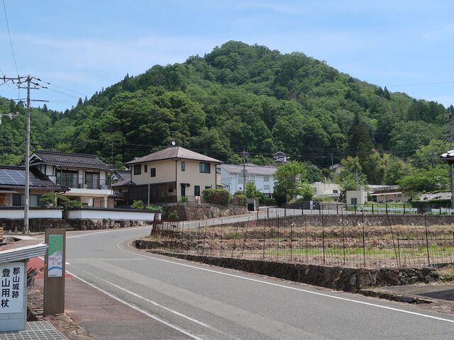 Ђł񂳂̌SRՂ̓eʐ^1