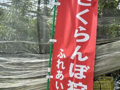 AŶӂꂠ̉Ƃւ̓eʐ^2