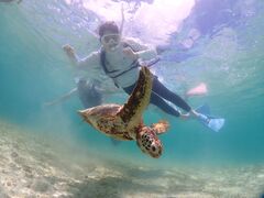 Ȃ̋{blue܂ق΂ւ̓eʐ^1