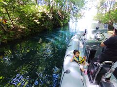 [̋{ÃAEghAZ^[ւ̓eʐ^1