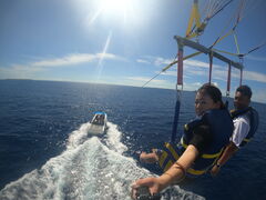 buddymarine shop PETRELւ̓eʐ^1