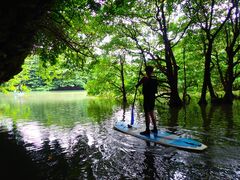 񂳂̐Ί_ ADVENTURE PiPiւ̓eʐ^1