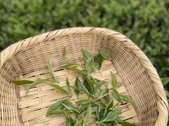 JỸ}^JN䐻uxmRTeap[Nvւ̓eʐ^2