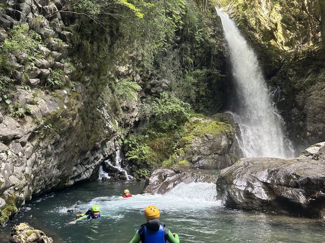 5���[�g����э��݌�_�t�B�[���h�A�[�X �ɓ�