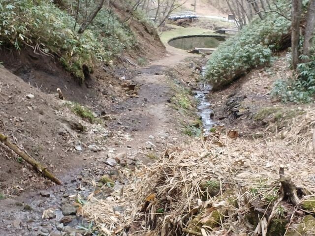 r珬TCh̗VŃAv[`_܂̑