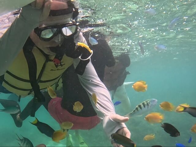 ���S�T�|�[�g�Ŋ������A�Ƒ��S���̊C�̌�_�I�[�V�����N���t�g�E�f�B�[�V�F���^�[