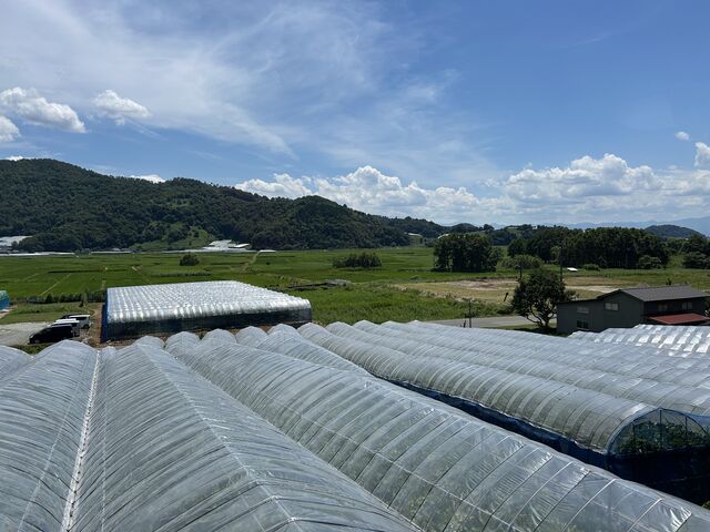 2�K����̌i�F�i�ʐ^�������ƍL�����n���܂��j_���R�ʎ���&�J�t�F