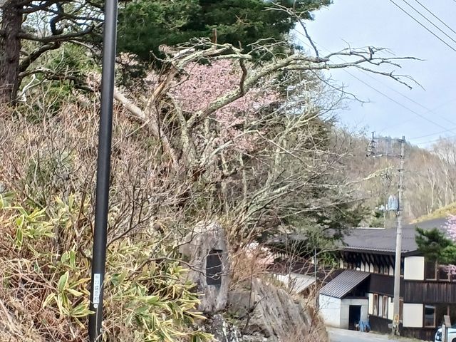 60̃Xm[{[h񂳂̐R]̂̔̓eʐ^4