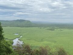 �R�b�^�������W�]��̎ʐ^1