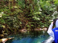 TOMÕBgJ̓]ւ̓eʐ^1