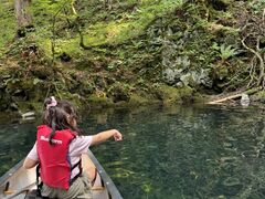 m̐AEghAZ^[(X)ւ̓eʐ^1