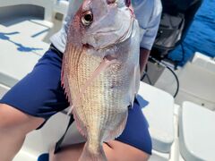 ԂSHIRAHAMA FLAT TOURSւ̓eʐ^1