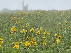 �����ԉ�����߃����̎ʐ^1