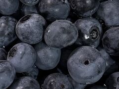 �_�c�u���[�x���[�_���̎ʐ^2