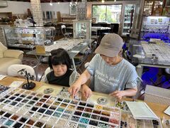 ���Ȃ���񂳂�̐΂̖��y�ւ̓��e�ʐ^1