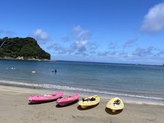 lC`[cA[ Ecotone̎ʐ^2