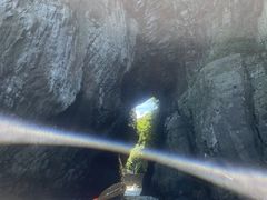 lC`[cA[ Ecotone̎ʐ^3