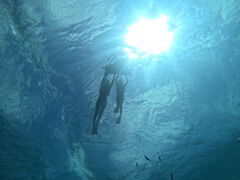 ݂ۂ񂳂Diving@Shop Leii_CrOVbvCjւ̓eʐ^1