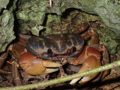 ݂̋{Ó}VbvSmileyւ̓eʐ^3