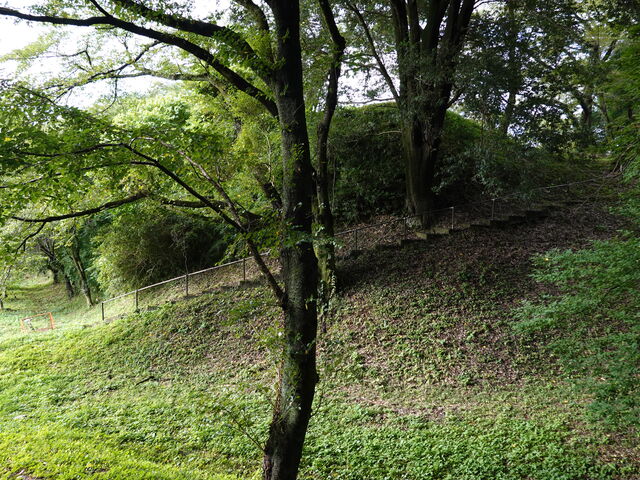 ���̌X�΂����Ɩ{�ې�_��c�����