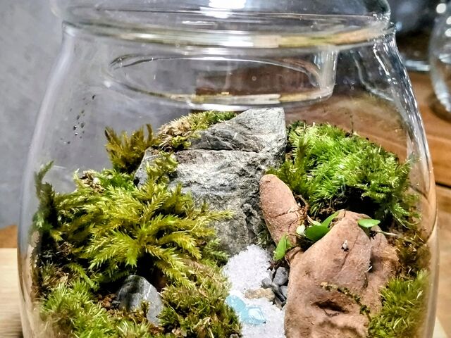 S҂Ȃ̂łイイɋl߂Z[uI_ۂނ