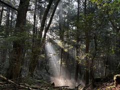 ィ̃AEghǍ in xmR[ FUJI HATւ̓eʐ^1