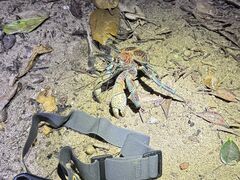 KEISETSU̐Ί_ ADVENTURE PiPiւ̓eʐ^1