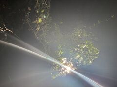 ̂CAVE OKINAWAւ̓eʐ^1