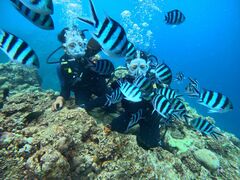 buũ}Nu Gigiւ̓eʐ^1